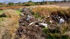 Hunt for Holt Heath fly-tippers using nature reserve as a dump – BBC
