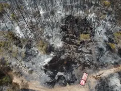 wild fire
