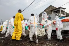 緊急チームは、コンゴ民主共和国のゴムに死体を埋める
