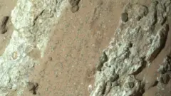 Imagem da superfície de Marte, mostrando uma grande rocha granulada vermelha com manchas claras incomuns, rodeadas por um perímetro preto, que se parecem com manchas de leopardo. Também há pequenos pontos pretos, apelidados pelos cientistas de sementes de papoula, e afloramentos rochosos brancos.