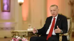 erdoğan