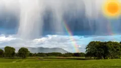 પ્રતીકાત્મક તસવીર 