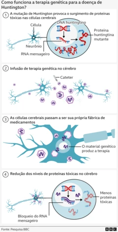 Ilustração gráfica do funcionamento da terapia. O primeiro quadro mostra uma célula cerebral com uma dupla hélice de DNA em azul e uma seção vermelha que indica o DNA que sofreu mutação e o acúmulo de proteínas tóxicas no interior da célula. O quadro 2 mostra dois neurônios e vírus hexagonais com uma linha roxa no centro. O quadro 3 mostra os neurônios anteriores com os vírus no seu interior. O quadro 4 retorna à mesma visão do neurônio, mas com as linhas roxas retornando ao código genético anterior, de forma a reduzir a produção de proteínas tóxicas.