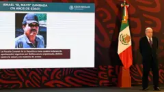 Capturan al Mayo
