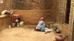 விவசாயம்