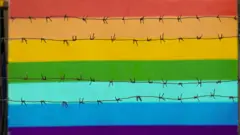 barbed wire in front of a rainbow flag