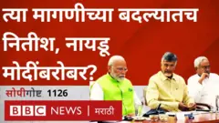 नितीश कुमार, चंद्राबाबू नायडू