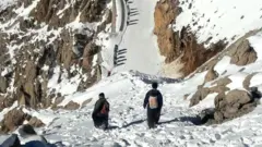 کولبر