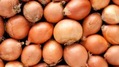 வெங்காயங்கள்