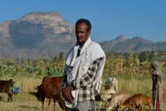 የኢሮብ አካባቢ ነዋሪ