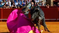من مباراة في حلبة مصارعة الثيران في إشبيلية، إسبانيا، 21 أبريل/نيسان 2024