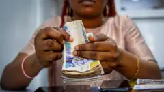 Woman counts out naira bank notes 