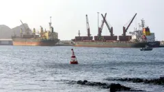 海上で大型船2隻が停泊している。近くに小型船も見える