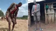 Birihee Gaashuu