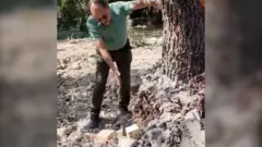 ساخت «شبانه» و تخریب در محوطه دانشگاه تهران، دو درخت ۵۰ ساله را از بین برد