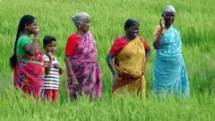 பரந்தூர் விமான நிலைய திட்டம் 