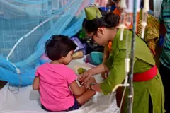 ডেঙ্গু জ্বর