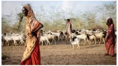 خشکسالی در آفریقا