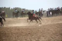 Өзбекстандан келген улакчылар өжөрлөнө ойноп жатат