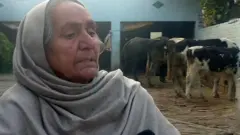 ਪੰਜਾਬ
