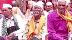 ડાંગ