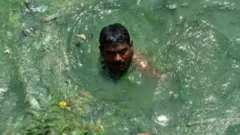 ভারতীয় ডুবুরি শিভা।