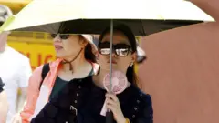 उष्णतेची लाट