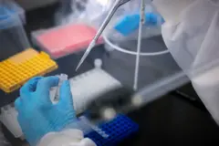 Uma mão realizando análise genética.