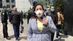Aygül Mehman, BBC