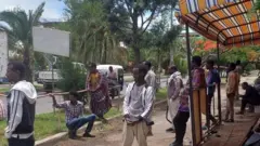 Namoota hojii guyyaan jiraatan