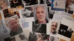 Колаж із фото і документів Епштейна 