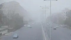 Тошкент кўчасидаги чанг ва машиналар.