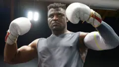 bokser i mma borac frensis enganu