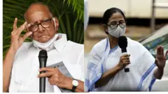 शरद पवार ममता बॅनर्जी