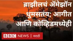 अॅमेझॉन, ब्राझील, कोरोना