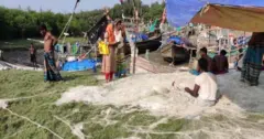 সলিমপুরের উপকূলে জেলেদের তৎপরতা