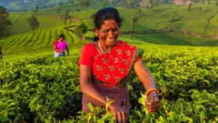 கேரளம், சட்டமன்ற தேர்தல், தேவிகுளம், தமிழ் எம்.எல்.ஏ.