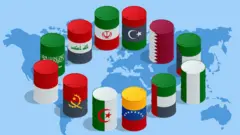 विश्व के राजनीतिक मानचित्र पर, OPEC सदस्य देशों के झंडों के रंगों वाले तेल के बैरल. 