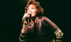 هيوستن في حفل موسيقي عام 1993 كجزء من جولة فيلم ذا باديغارد العالمية