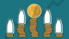 कॅल्क्युलेटर