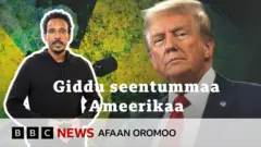 Gidduseentummaa US