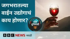 वाईन उद्योगावर संकट का आलं आहे?