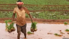 शेती, कृषी विधेयक