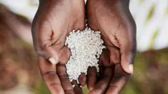 Les esclaves africains ont modifié les recettes d'Afrique de l'Ouest pour les adapter au monde de la plantation.