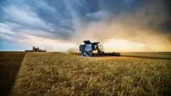 Colheita com tratores