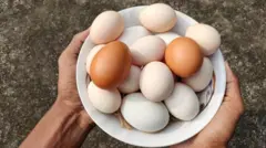 ఆహారం