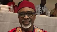 Enyinnaya Abaribe