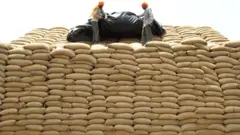 ధాన్యం