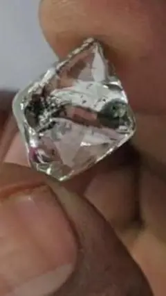 મધ્ય પ્રદેશ