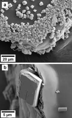 Imagens em alta resolução de microscopia eletrônica de (a) o canto de uma partícula de glitter, onde rachaduras e imperfeições na superfície promoveram a formação de cristais de calcita, e (b) um mineral chamado calcita começando a se soltar e a desestabilizar a estrutura em camadas do microplástico.